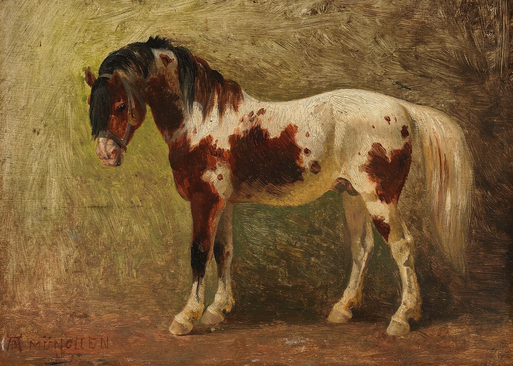 Horse Portrait