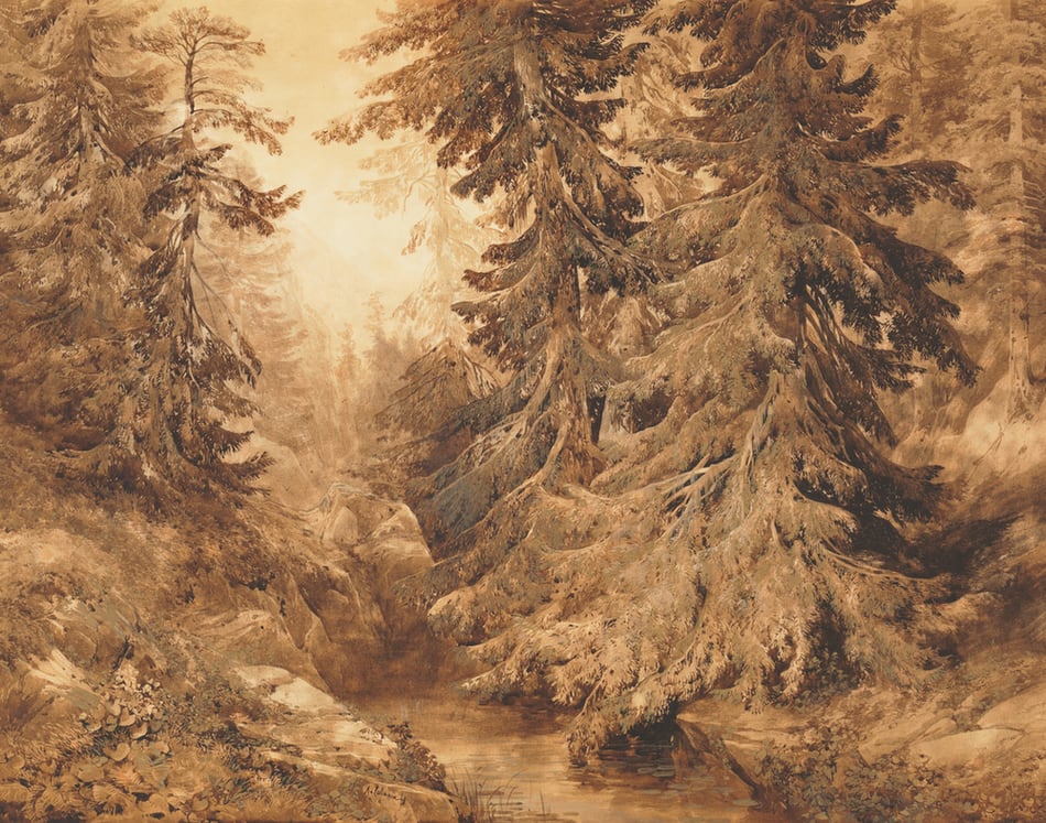 An Ancient Pine Forest with a Mountain Stream