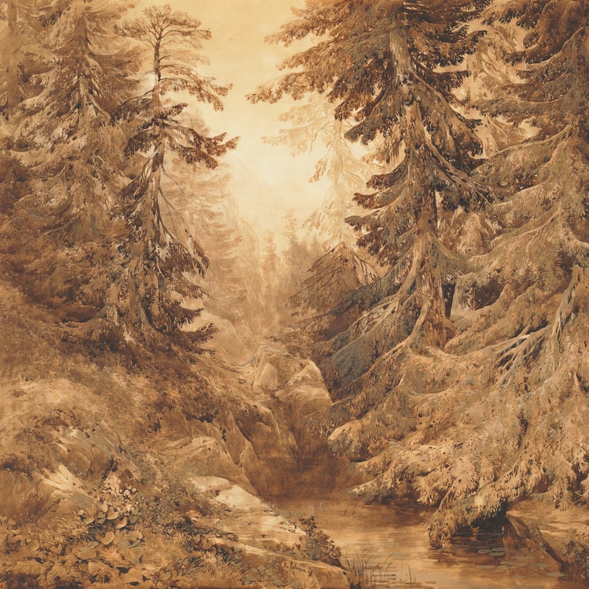An Ancient Pine Forest with a Mountain Stream