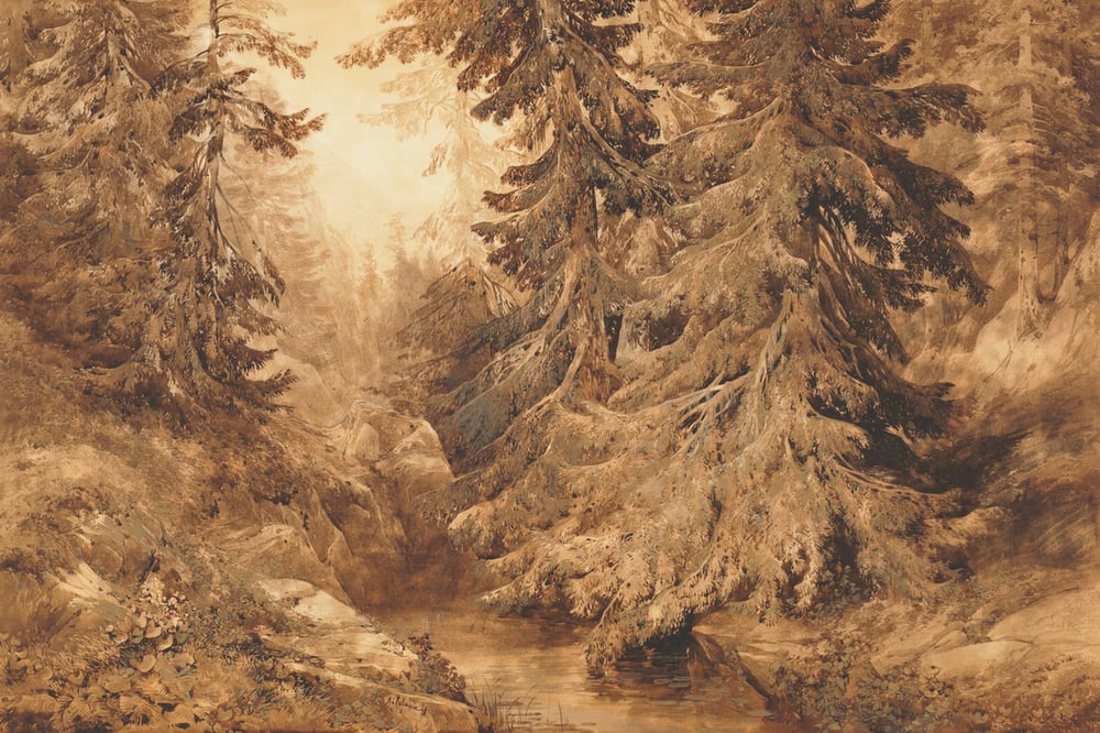 An Ancient Pine Forest with a Mountain Stream