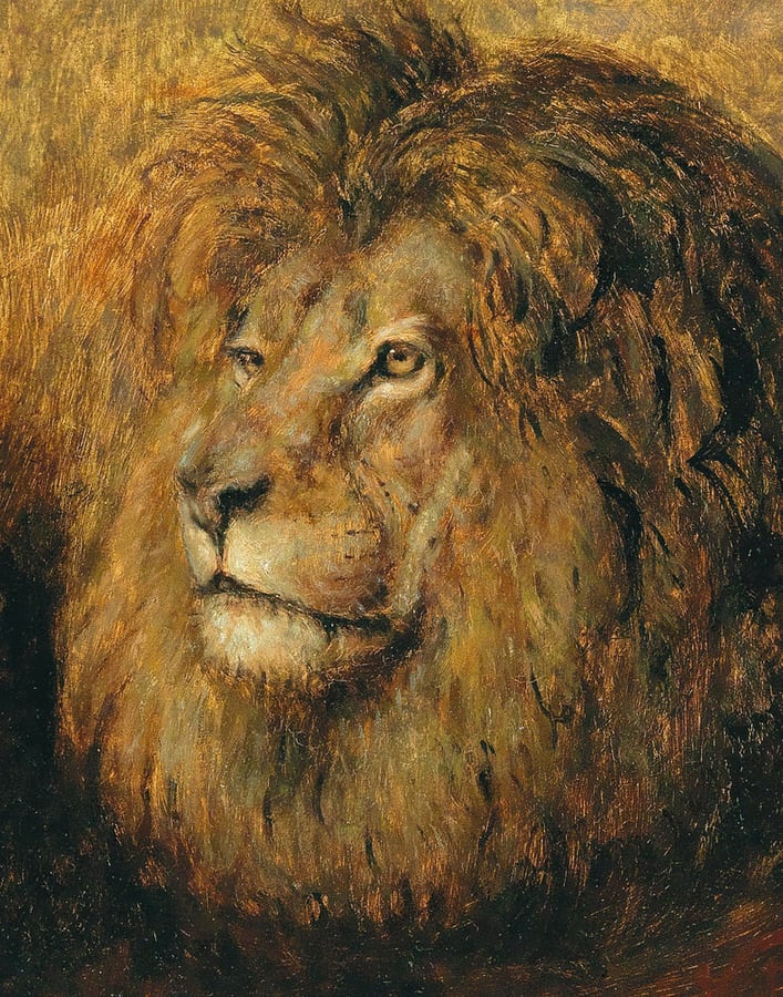 Head of a Lion