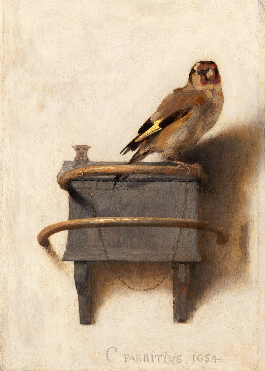 The Goldfinch