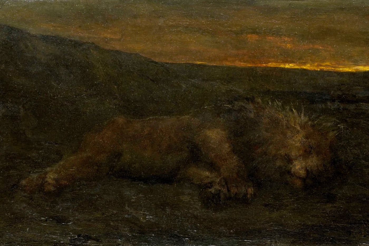 Sleeping Lion by Night