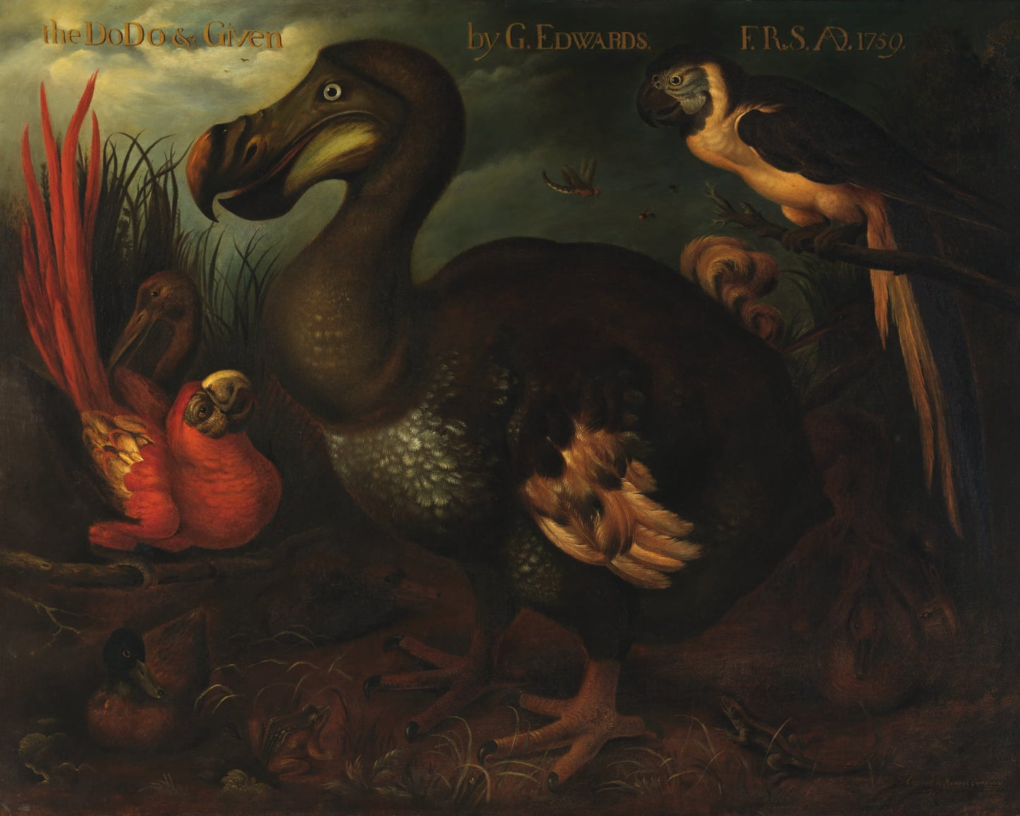 Psyche Tripped