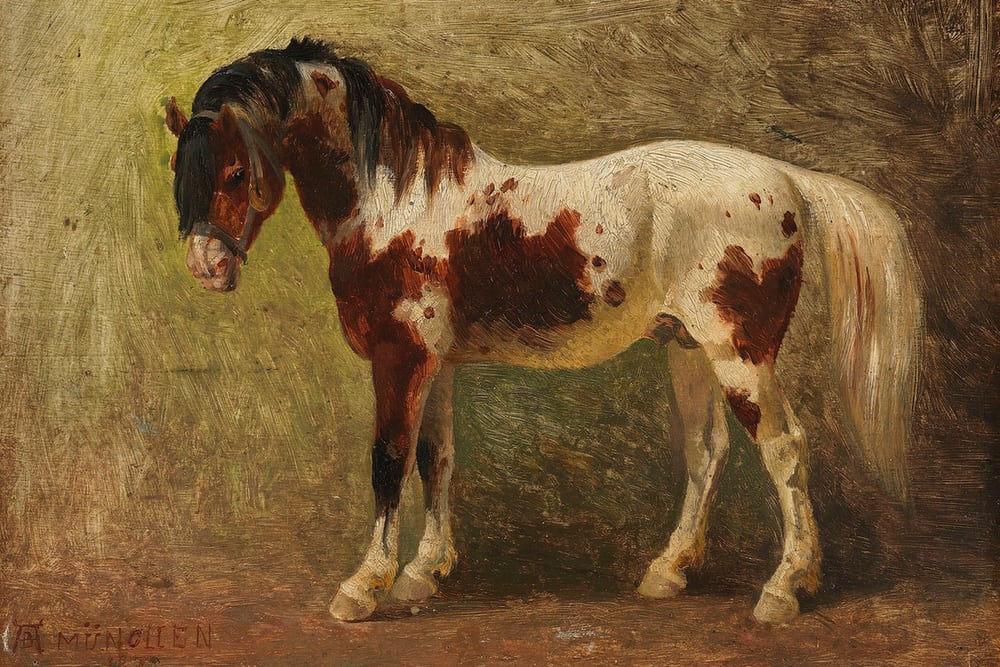 Horse Portrait