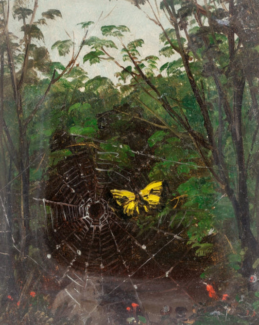 Butterfly in a Spiderweb