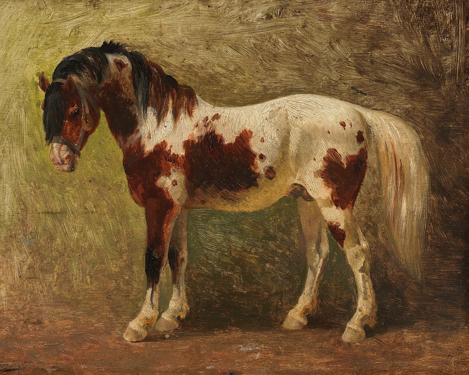 Horse Portrait
