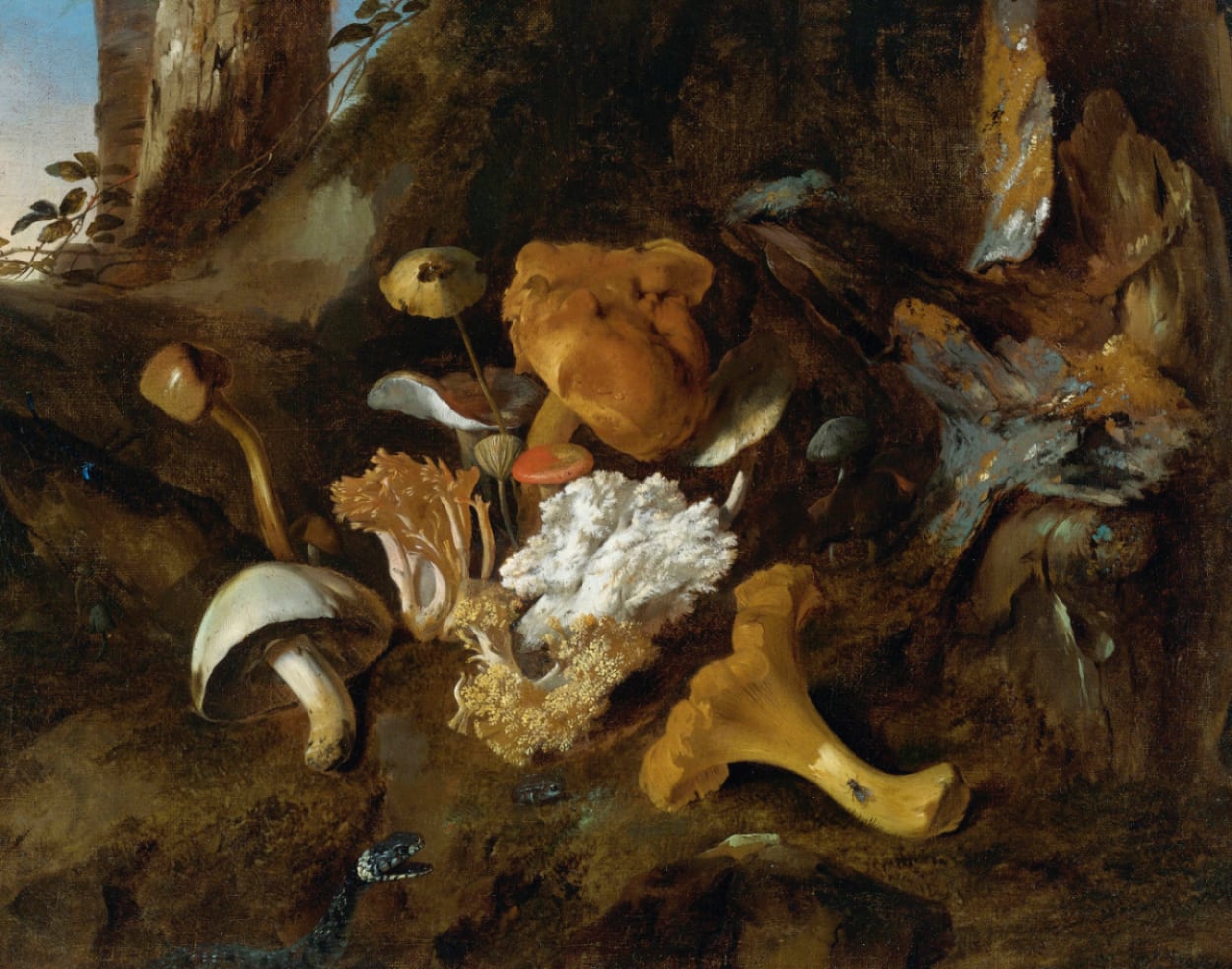 Petrifying Wonder