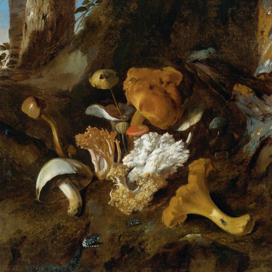 Forest Floor Still Life with Mushrooms, Butterflies, and a Snake