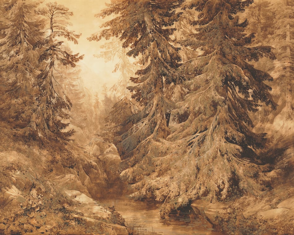 An Ancient Pine Forest with a Mountain Stream