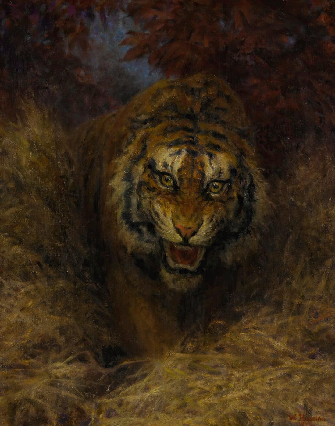 Tiger in the Grass