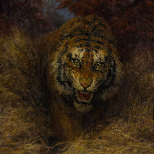 Tiger in the Grass