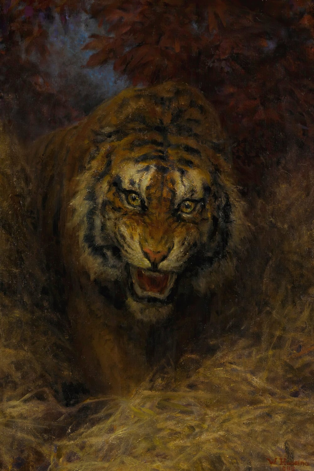Tiger in the Grass