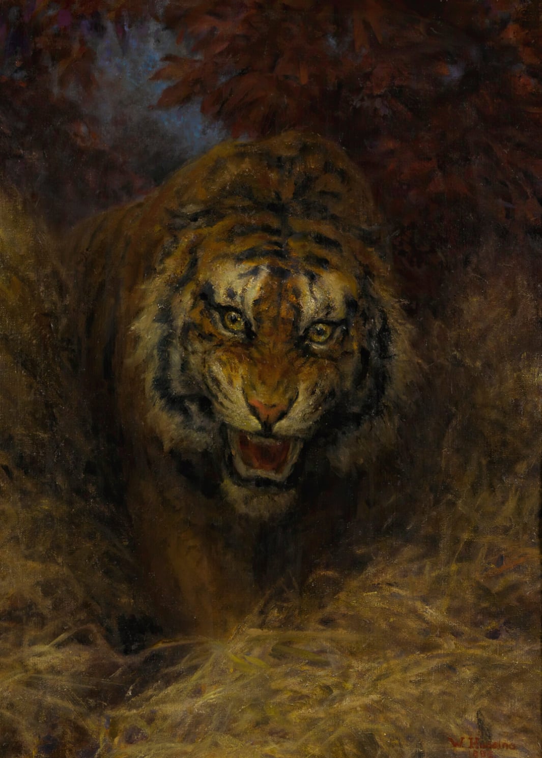Tiger in the Grass