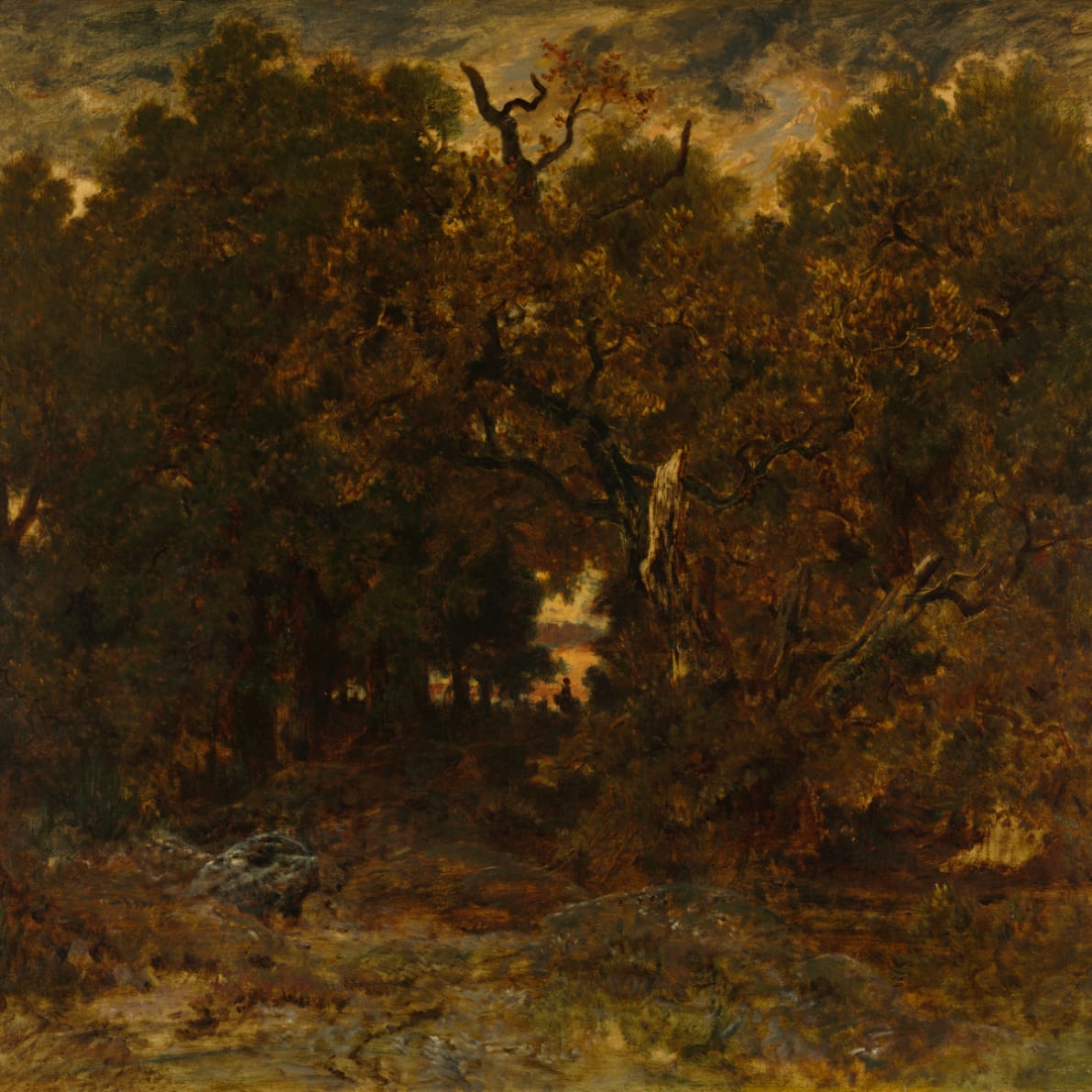 Leaving the Forest, Fontainebleau: Setting Sun