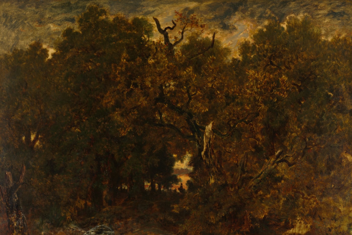 Leaving the Forest, Fontainebleau: Setting Sun