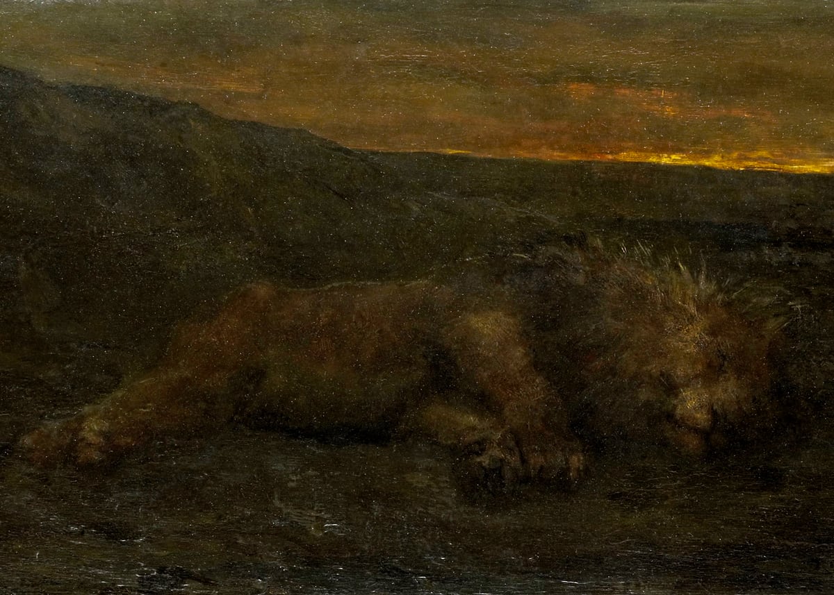 Sleeping Lion by Night