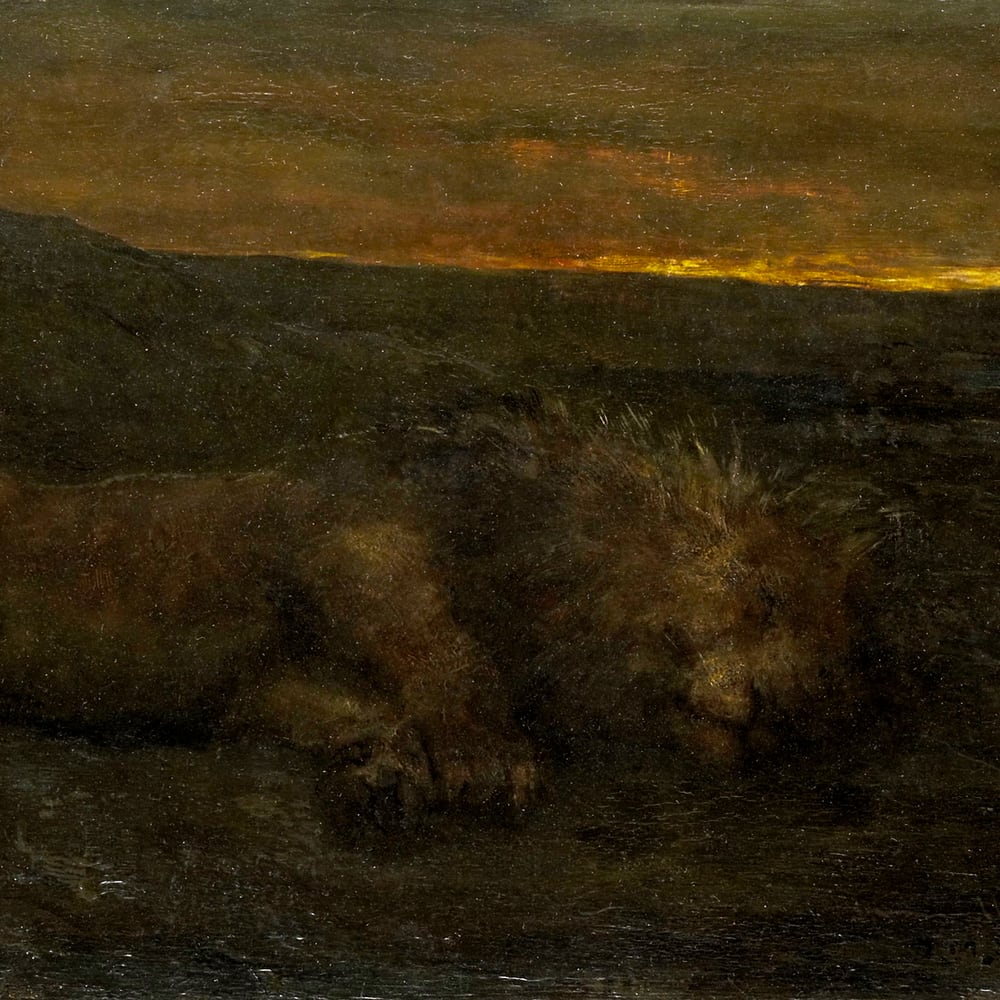 Sleeping Lion by Night