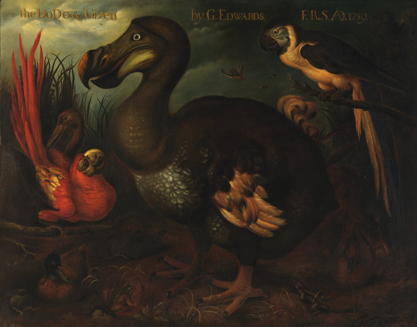 The Dodo and Given