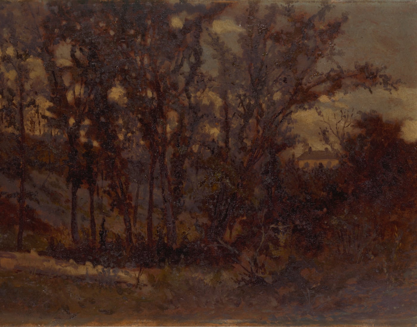 Untitled (forest scene, fallen tree in foreground and house in background)
