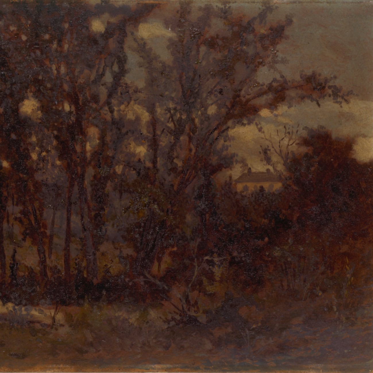 Untitled (forest scene, fallen tree in foreground and house in background)