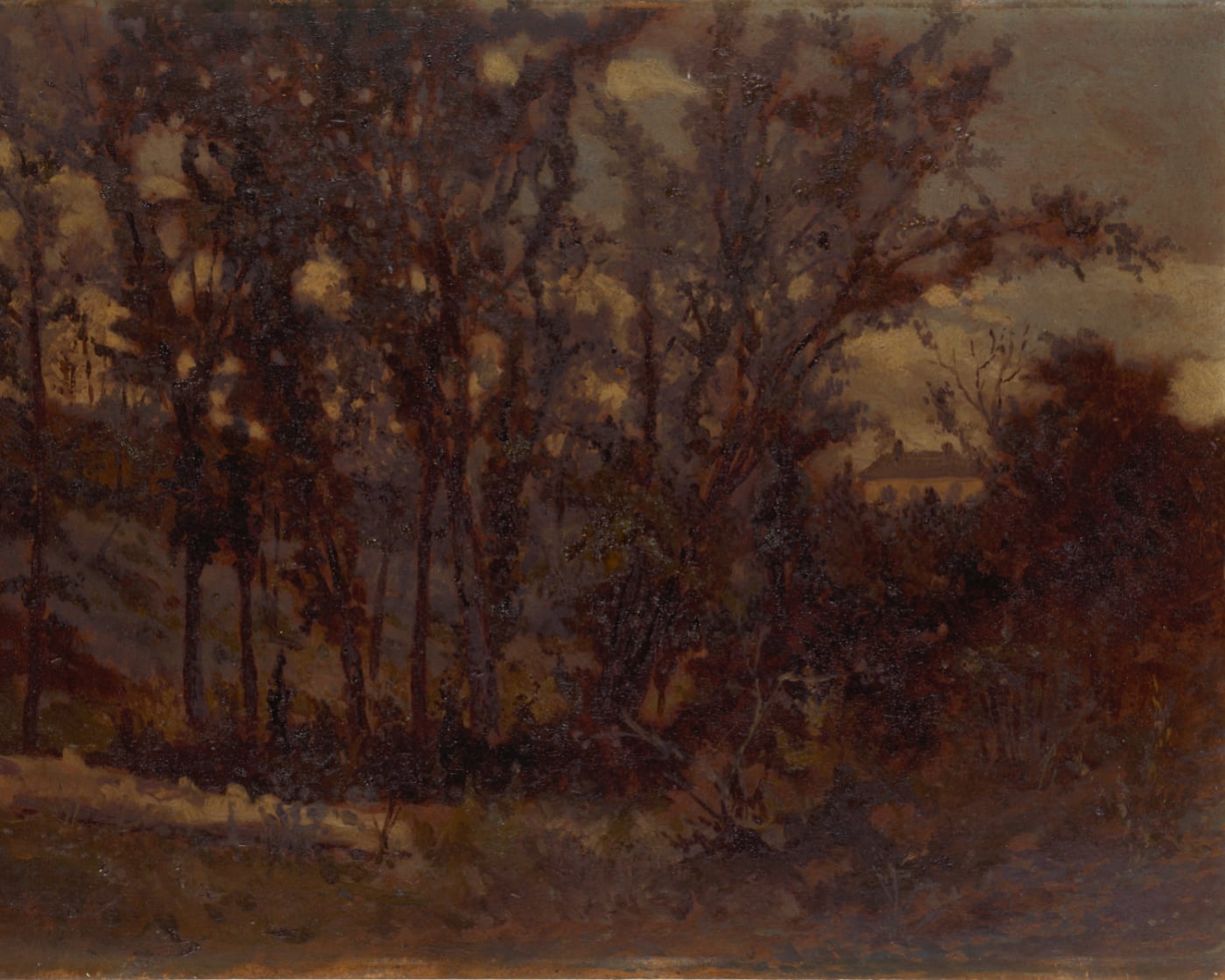 Untitled (forest scene, fallen tree in foreground and house in background)