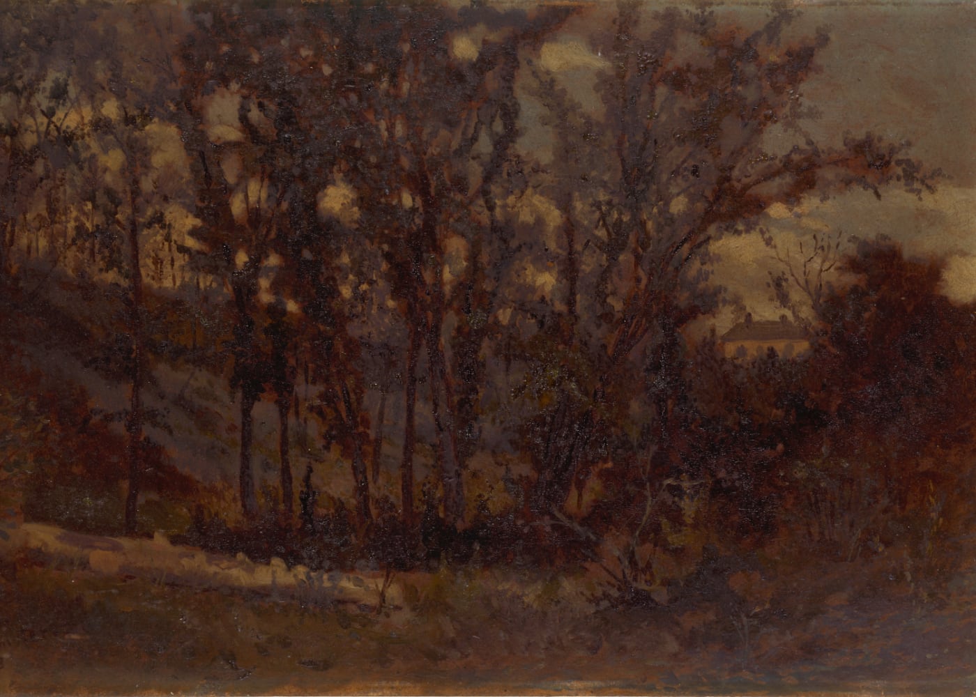 Untitled (forest scene, fallen tree in foreground and house in background)