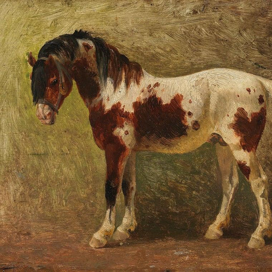 Horse Portrait